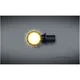 Blinker Kellerman Atto_1