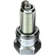 NGK SPARK PLUG CR8EIA-10 SAE M4 IR_0