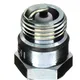 NGK Spark Plug BM6F SAE lose for Motorcycles_0