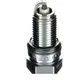 Spark plug NGK dcpr8E removable nut alt no ir 7081128 for: CAN