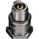 Spark plug br6hsa NGK sae M4 alternative: 7081888 Quick for: Ho