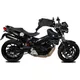 Seitenkofferträger Shad für 3P System passend für: BMW F 800_0