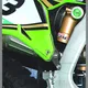 Sticker protector black bird racing 1107978_1
