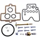 Carburettor repair kit all balls racing 261515_1