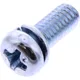 Schraube für Vergaser JMP M4X10 mm, 10 Stück_0