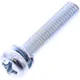 Vergaserschraube JMP M4X20 mm_0