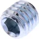 Lock screw fork KAYABA M6X6mm for: Honda CRF_0