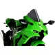 Screen z - racing PUIG dark for: Kawasaki ZX - 10RR, ZX - 10R_0