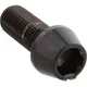 Schraube konisch LSSSC1025FBK_1