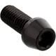 Cone Head Bolt M8X1.25mm 20mm Stainless Steel A4 Black_0