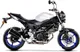 Schalldämpfer GP Dual Slip On für Motorräder_2