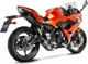 Schalldämpfer SBK Edelstahl Lv One komplett 2/1 Evo passend für