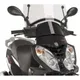 Windshield t.s. puig 9391W_1