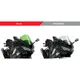 Racing screen puig 3177V_1