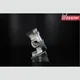 1093786002_5