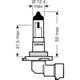 Bulb h10 12v42w_1