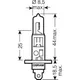 Bulb h1 12v55w_2
