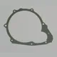 Generator cover gasket S410210017009_1