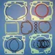 Gasket set topend P400270600009_1