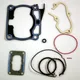 Gasket set topend P400485600116_1