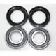 Wheel bearing and seal kit WBK006_1
