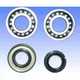Kurbelwellenlager Satz Athena P400130444005_1