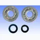 Kurbelwellenlager Satz Athena P400420444001_1