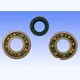Kurbelwellenlager Satz Athena P400480444002_1