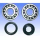 Kurbelwellenlager Satz Athena P400250444001_1