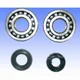 Kurbelwellenlager Satz Athena P400250444256_1
