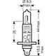 Bulb H1 12V55W duo box ultra life altn 1591601 for: Kawasaki ZX