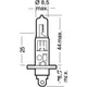 Bulb 12v1.2w w2x4.6d_1