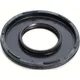 11791811_1