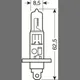 L58166_1