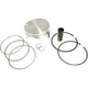 Piston kit 101. 93mm ATHENA forged std bore for: Yamaha YFM_0