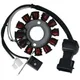 Lichtmaschine Stator für Gilera, Derbi, Piaggio, Vespa 125cc_1