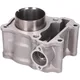 Zylinderkit EVOK 125ccm 52,4mm für Honda SH NES, FES, PES, S_1
