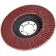 Fächerscheibe Korund 115mm 80er Körnung 43369_1