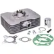 cylinder kit Parmakit 50cc for Sachs RS Corsa Lunga 49761_1