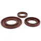 Wellendichtringsatz Motor BGM PRO, FKM/Viton® (E10 beständig_1