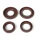 Engine repair kit -BGM PRO FKM/Viton® (E10/etahnol resistant_1
