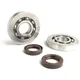 Bearing and oil seal set for crankshaft -BGM ORIGINAL- Piagg_1