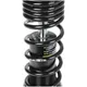 Shock absorber, front -BGM PRO SC/F1 SPORT- Vespa Primavera _2