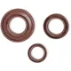 oil seal kit engine BGM PRO rubber brown 30x47x6mm for Vespa_1