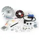Zündung-Set BGM PRO 12V Touring elektronisch Vespa P125X/P20_3