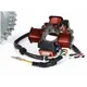 Ignition -BGM PRO 12V Touring V2 (1315g)- Conversion to elec_2