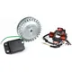 Ignition -BGM PRO 12V Sport V2 (805g)- Conversion to electro_1