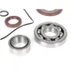 Bearing and oil seal set for crankshaft -BGM PRO FKM/Viton® _2