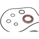Bearing and oil seal set for crankshaft -BGM PRO FKM/Viton® _1