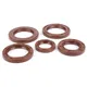 Oil seal set engine -BGM PRO, FKM/Viton® (E10/etahnol resist_3